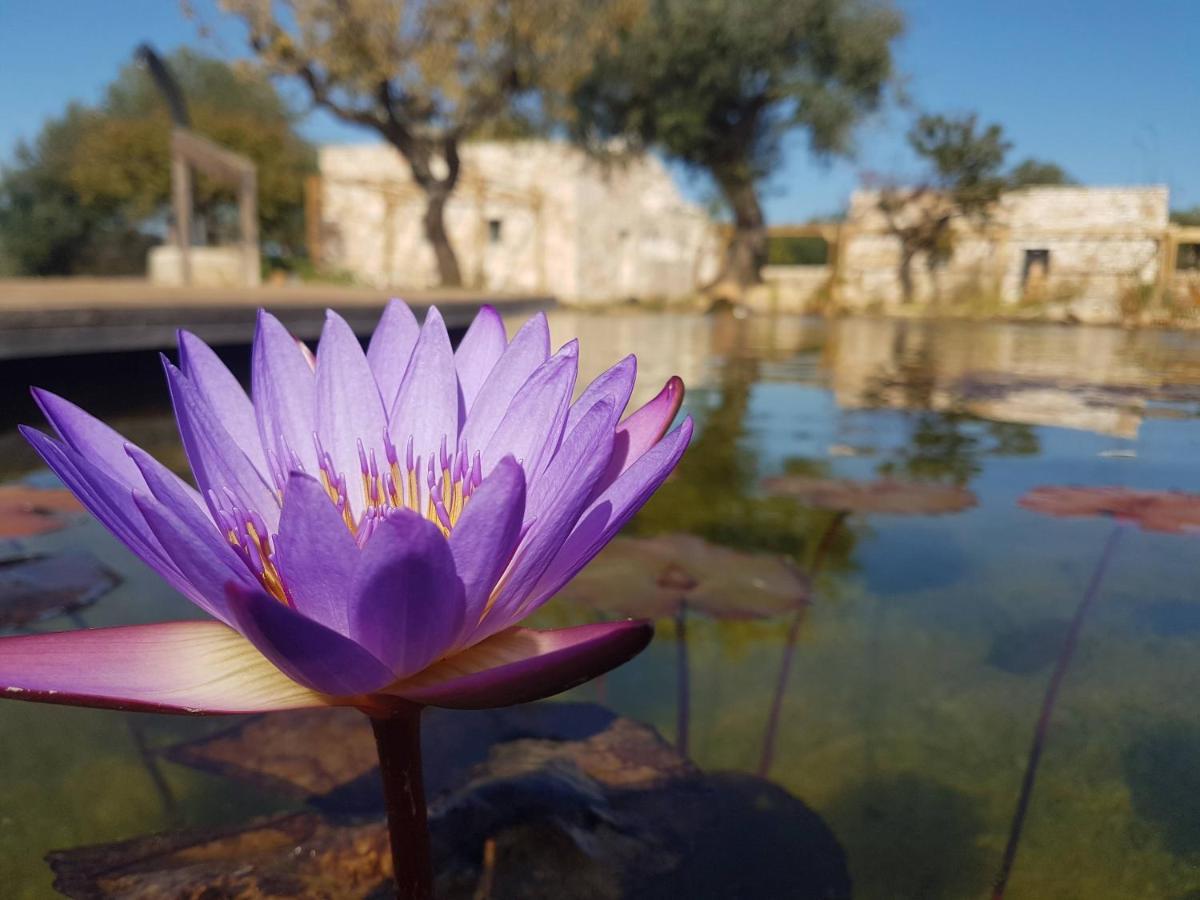 Il Fiore Della Vita Trulli Country House Conversano Esterno foto