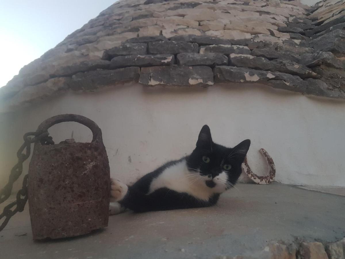 Il Fiore Della Vita Trulli Country House Conversano Esterno foto