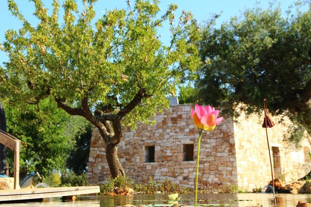 Il Fiore Della Vita Trulli Country House Conversano Esterno foto